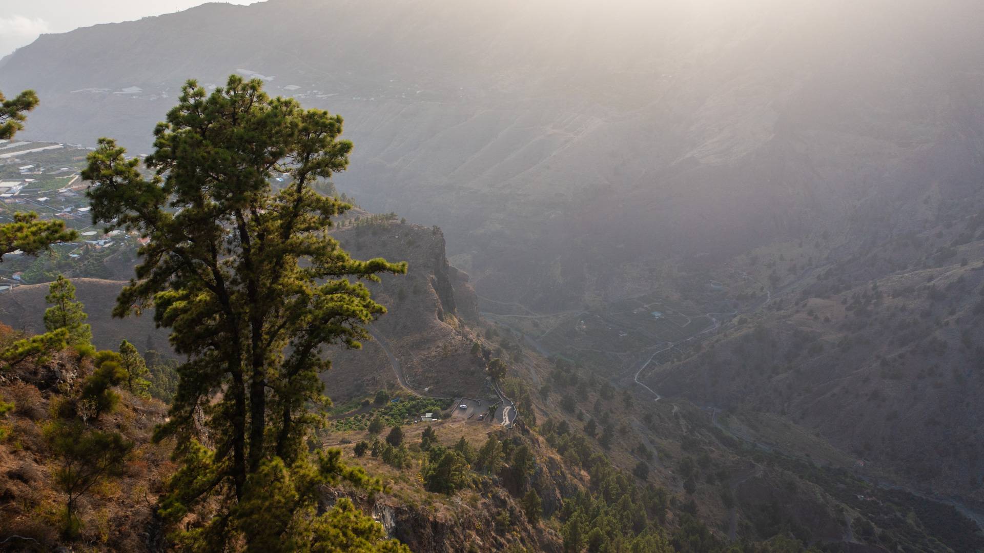 Mirador del Cancelita